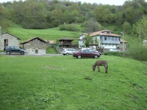 área o medio rural